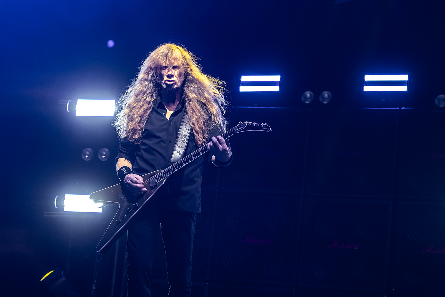 Megadeth - This Was Our Life